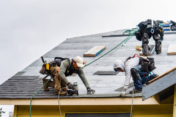 Professional Gutter Installation technician working in Ammon, VA